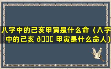 八字中的己亥甲寅是什么命（八字中的己亥 🐎 甲寅是什么命人）